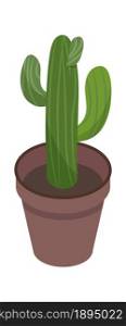 Houseplant green cactus in pot isolated on white. Vector houseplant cactus, vector flower garden green, cartoon succulent cacti illustration. Houseplant green cactus in pot isolated on white