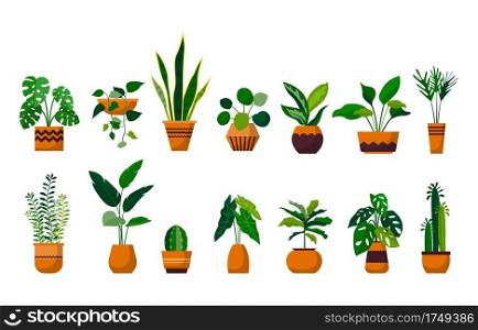 Houseplant Green Decorative Plant Garden Botanical Vector Set