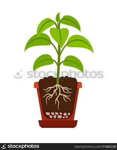 Houseplant icon showing roots in flower pot. Vector illustration2. Houseplant with roots icon