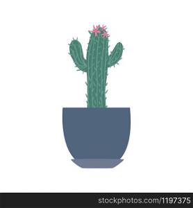 Houseplant in doodle style. Cute prickly green cactus in pots. Cacti flower isolated on white background. Hand drawn floral vector illustration.. Houseplant in doodle style. Cute prickly green cactus in pots.