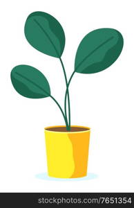 Houseplant in flower pot isolated icon. Natural leaves on branch stems, green color buds in flowerpot. Gardening and floral object, holiday decoration element. Tropical plant in cartoon style vector. Plant in Pot Gift, Giving Natural Present Vector