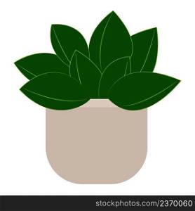   Houseplant in pot isolated vector illustration. Green house plant for room interior design 