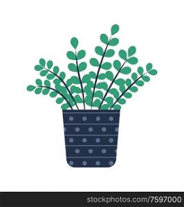 Houseplant in pot vector, container with blue dots, flat style floral decoration for home. Container with soil, plant with foliage and long branches. Plant in Pot, Floral Decoration Isolated Vector