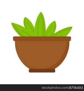 Houseplant in round pot on white background. Vector isolated image for design of site about plants or clipart. Houseplant in round pot on white background