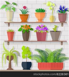 Houseplant set design flat concept. Houseplant and house plant, plant pot isolated, indoor plants, flower and green nature, leaf and pot set, gardening growth, vector illustration
