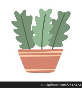 Houseplant with large leaves in flowerpot isolated object. Indoor plant, clipart vector illustration. Isolated foliage plant for room, office and apartment decor. Houseplant with large leaves in flowerpot isolated object