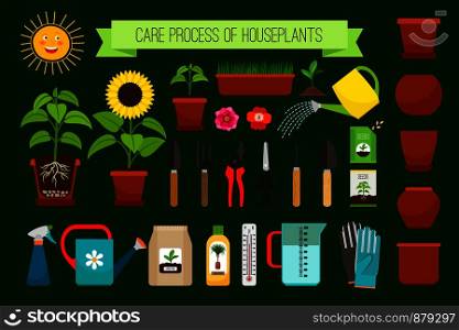 Houseplants care process icons and flowers in pots collection. Vector illustration. Houseplants care process icons
