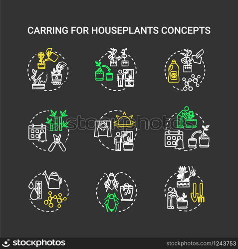 Houseplants caring chalk RGB color chalk concept icons set. Balanced fertilizer. Proper lighting. Timely repotting. Home gardening idea. Vector isolated chalkboard illustrations on black background