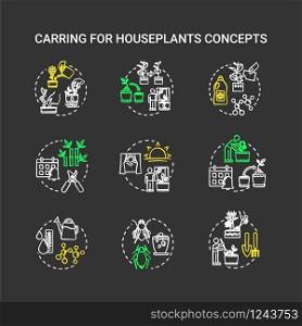 Houseplants caring chalk RGB color chalk concept icons set. Balanced fertilizer. Proper lighting. Timely repotting. Home gardening idea. Vector isolated chalkboard illustrations on black background