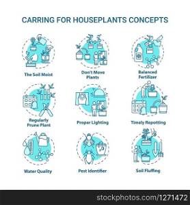 Houseplants caring concept icons set. Balanced fertilizer. Proper lighting. Home gardening idea thin line RGB color illustrations. Timely repotting. Vector isolated outline drawings. Editable stroke