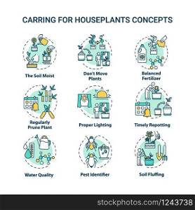 Houseplants caring concept icons set. Balanced fertilizer. Proper lighting. Timely repotting. Home gardening idea thin line RGB color illustrations. Vector isolated outline drawings. Editable stroke