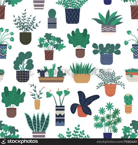 Houseplants growing in pots vector, seamless pattern of flora and foliage decorating homes. Calla flowering in vase, floral bouquet and cactus in flowerpot. Flowers in Pots, Houseplants Seamless Pattern