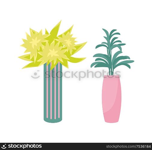 Houseplants in vase and flower pot isolated vector. Green and yellow flowering plants in cylinder shape color vessel, home or office decorative elements. Houseplants in Vase and Flower Pot Isolated Vector