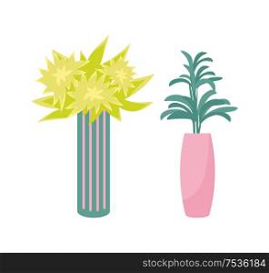 Houseplants in vase and flower pot isolated vector. Green and yellow flowering plants in cylinder shape color vessel, home or office decorative elements. Houseplants in Vase and Flower Pot Isolated Vector