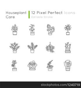Houseplants pixel perfect linear icons set. Indoor plants. Ficus, violet, bamboo. Lily, pothos. Customizable thin line contour symbols. Isolated vector outline illustrations. Editable stroke