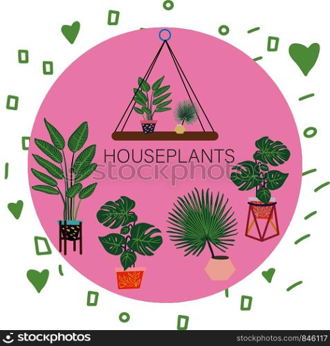Houseplants with note on pink circle element. Tropical leaves on background. Postcard, banner, app design. . Houseplants with note on pink circle element.