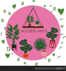 Houseplants with note on pink circle element. Tropical leaves on background. Postcard, banner, app design. . Houseplants with note on pink circle element.