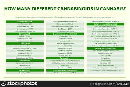 How Many Different Cannabinoids in Cannabis horizontal infographic illustration about cannabis as herbal alternative medicine and chemical therapy, healthcare and medical science vector.