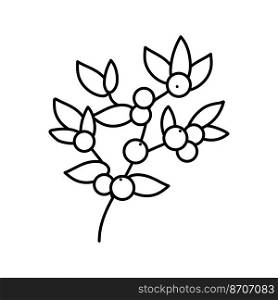huckleberry bilbery plant line icon vector. huckleberry bilbery plant sign. isolated contour symbol black illustration. huckleberry bilbery plant line icon vector illustration