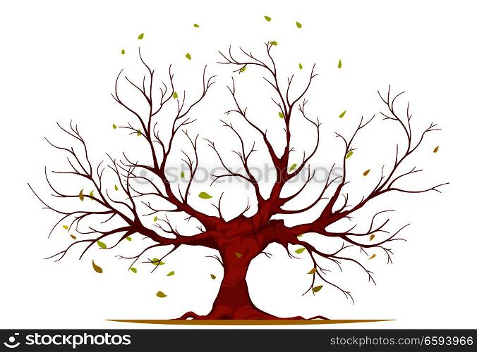 Huge tree with large trunk, bare branches and roots, falling leaves isolated on white background vector illustration. Huge Tree Illustration