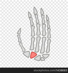 Human anatomy hand palm icon. Cartoon illustration of human anatomy hand palm vector icon for web. Human anatomy hand palm icon, cartoon style