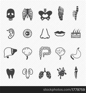 Human anatomy icons illustration set