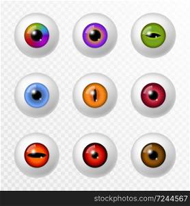 Human and animal eye. Different realistic color eyeball and lenses, various round iris retina and pupils. Optical lens, ophthalmology 3d vector isolated set. Human and animal eye. Different color eyeball and lenses, various round iris retina and pupils. Optical lens, ophthalmology 3d vector set