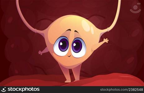 Human bladder funny cartoon character. Kawaii internal organ, urinary system personage with cute face waving hand inside of abdominal cavity. Healthy body, anatomy for kids, Vector illustration. Human bladder cartoon character, internal organ