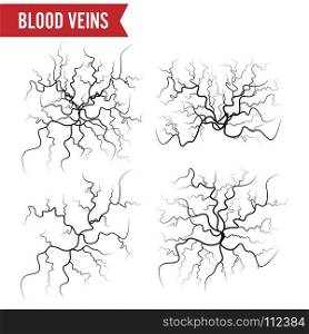 Human Blood Veins Vector. Blood Arteries Isolated On White. Set Of Blood Veins. Image Of Health Red Veins Illustration.. Human Blood Veins Vector. Blood Arteries Isolated On White. Set Of Blood Veins. Image Of Health Red Veins