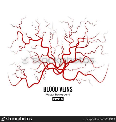 Human Blood Veins Vector. Human Blood Veins Vector. Red Blood Vessels Design. Illustration Isolated On White