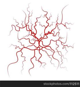 Human Blood Veins Vector. Red Blood Vessels Design. Illustration Isolated On White Background. Human Blood Veins Vector. Red Blood Vessels Design. Illustration Isolated On White