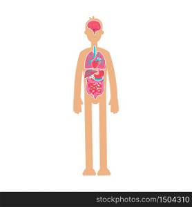 Human body anatomy flat color vector faceless character. Educational physiology. Inner organism system. Internal organ in male body isolated cartoon illustration for web graphic design and animation. Human body anatomy flat color vector faceless character