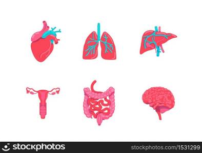 Human body anatomy parts flat color vector objects set. Digestive system. Respiratory disease prevention. Gastrointestinal tract. Internal organs 2D isolated cartoon illustrations on white background . ZIP file contains: EPS, JPG. If you are interested in custom design or want to make some adjustments to purchase the product, don&rsquo;t hesitate to contact us! bsd@bsdartfactory.com. Human body anatomy parts set