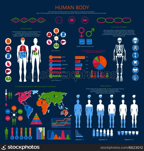 Human body infographic with organism structure, internal organs, whole skeleton, water balance and national medicine worldwide vector illustrations.. Human Body Detailed Infographic with Statistics