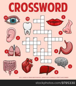 Human body parts and organs, crossword grid worksheet, vector find word quiz game. Crossword to guess words of medical anatomy, body organs, parts and bones, heart and lungs, eye or lips and tooth. Human body parts, organs, crossword grid worksheet