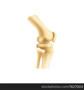 Human bones joint vector. Isolated knee or elbow bones, orthopedics and arthritis. Knee or elbow bones joint isolated