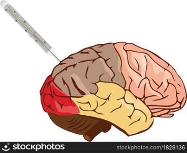 human brain being cut by a knife. brain with the thermometer brain with the thermometer