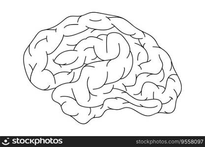 Human brain. Concept of wisdom, clever, smart. Internal organ, anatomy. Stock vector cartoon flat icon illustration isolated on white background.. Human brain doodle. Concept of wisdom, clever, smart. Internal organ, anatomy.