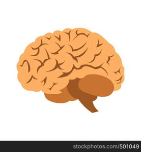 Human brain icon in flat style isolated on white background. Human brain icon