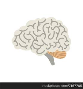 Human cartoon brain isolated on white background. Vector brain organ graphic illustration. Human cartoon brain isolated on white background