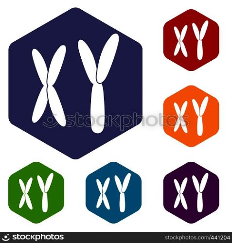 Human chromosomes icons set hexagon isolated vector illustration. Human chromosomes icons set hexagon