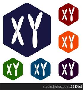 Human chromosomes icons set hexagon isolated vector illustration. Human chromosomes icons set hexagon