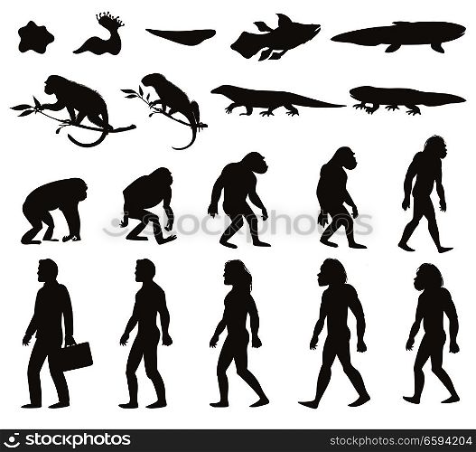 Human evolution darwin theory set of silhouettes of amphibian, reptile, primates and modern person isolated vector illustration. Human Darwin Evolution Silhouettes Set
