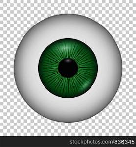 Human eye icon. Realistic illustration of human eye vector icon for on transparent background. Human eye icon, realistic style