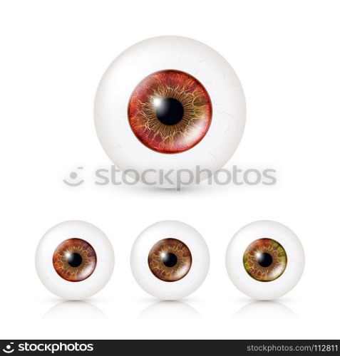 Human Eyeballs Set. Human Eyeballs Set With Big Irises In Colour. Vector Illustration Of 3d Glossy Detailed Eye With Shadow And Reflection. Cornea. Front View. Isolated On White Background.