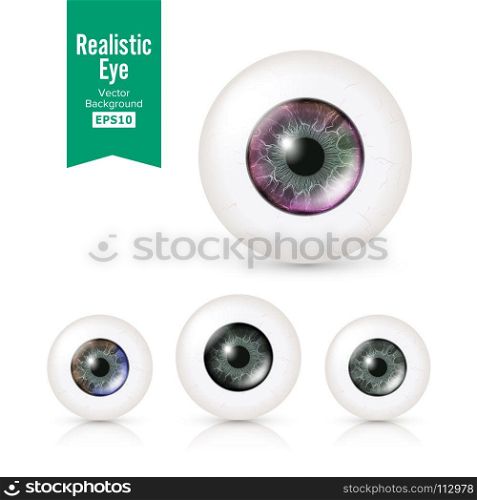 Human Eyeballs Set. Human Eyeballs Set With Big Irises In Colour. Vector Illustration Of 3d Glossy Detailed Eye With Shadow And Reflection. Cornea. Front View. Isolated On White Background.