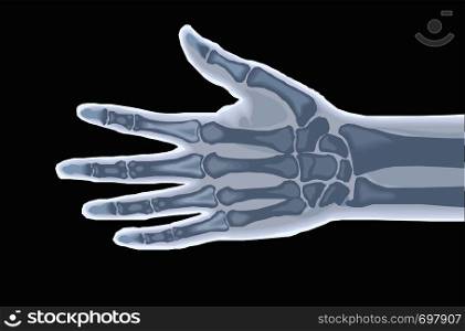 Human hand bones x-ray anatomy vector illustration eps 10. Human hand bones x-ray anatomy vector illustration