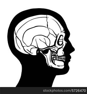 Human head profile contour with skull inside anatomy concept vector illustration