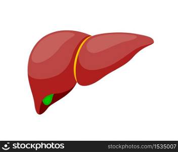Human healthy liver. Internal organs symbol.. Vector illustration info-graphic, isolated on white background.