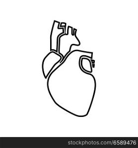 Human heart icon .